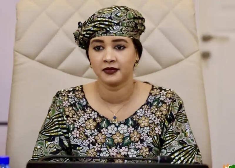 Niger : un complexe industriel et solaire de 21 milliards FCFA validé à Maradi