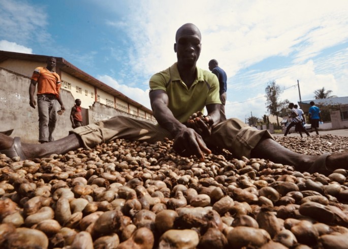 Noix de cajou : la Guinée-Bissau vise 250.000 tonnes d’exportations en 2025